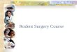 Rodent Surgery Course