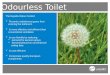Odourless Toilet