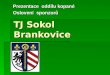 TJ Sokol Brankovice