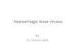 Hemorrhagic fever viruses