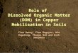 Role of  Dissolved Organic Matter (DOM) in Copper Mobilisation in Soils