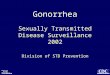 Gonorrhea Sexually Transmitted Disease Surveillance 2002