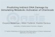 Predicting Indirect DNA Damage by Simulating Metabolic Activation of Chemicals