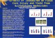 Effects of Isoxadifen on Field Corn Injury and Yield from Sulfonylurea Herbicides