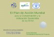 El Plan de Acción Mundial para la  Conservación  y la Utilización Sostenible  de los RFAA