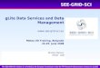 gLite Data Services and Data Management