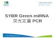 SYBR Green miRNA 荧光定量 PCR
