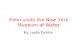 Elmo visits the New York Museum of Water