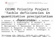COSMO Priority Project ’Tackle deficiencies in quantitative precipitation forecasts’