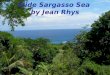 Wide Sargasso Sea  by Jean Rhys