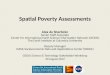 Spatial Poverty Assessments