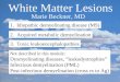 White Matter Lesions