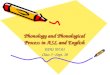 Phonology and Phonological Process in ASL and English