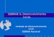 SEBRAE & Desenvolvimento LocaL