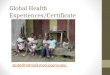 Global Health Experiences/Certificate