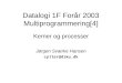 Datalogi 1F Forår 2003 Multiprogrammering[4]