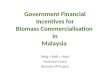 Government Financial Incentives for Biomass Commercialisation  in Malaysia