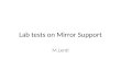 Lab tests  on  Mirror Support