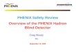 PHENIX Safety Review Overview of the PHENIX Hadron Blind Detector
