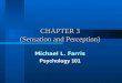 CHAPTER 3  (Sensation and Perception)