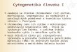 Cytogenetika človeka I