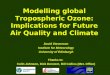 Modelling global Tropospheric Ozone: Implications for Future Air Quality and Climate