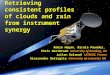 Retrieving consistent profiles of clouds and rain from instrument synergy