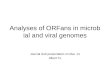 Analyses of ORFans in microbial and viral genomes