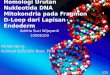 Homologi Urutan Nukleotida  DNA  Mitokondria pada Fragmen  D-Loop  dari Lapisan  Endoderm