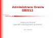 Administrace Oracle DBI013