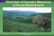 Overview of Forestry Measures in Rural Development