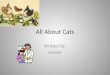 All About  Cats