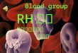 Blood group RH 血型 内蒙古民族大学      赵文海