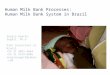 Human Milk Bank Processes:  Human Milk Bank System in Brazil