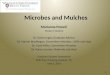 Microbes and Mulches