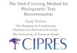 The Disk-Covering Method for Phylogenetic Tree Reconstruction