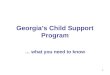 Georgia’s Child Support Program