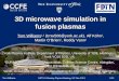 3D microwave simulation in fusion plasmas