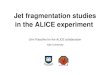 Jet fragmentation studies in the ALICE experiment