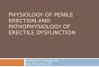 Physiology of Penile Erection and Pathophysiology of Erectile Dysfunction