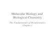 Molecular Biology and  Biological Chemistry
