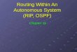 Routing Within An Autonomous System (RIP, OSPF)