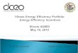 Illinois Energy Efficiency Portfolio  Energy Efficiency Incentives   Illinois IASBO  May 19, 2010