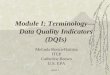 Module I: Terminology—  Data Quality Indicators (DQIs)