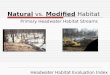 Natural  vs.  Modified  Habitat Primary Headwater Habitat Streams