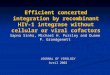 Efficient concerted integration by recombinant HIV-1 integrase without cellular or viral cofactors