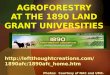 AGROFORESTRY AT THE 1890 LAND GRANT UNIVERSITIES