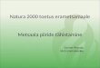Natura 2000 toetus erametsamaale Metsaala piiride tähistamine