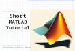 Short M ATLAB Tutorial