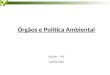 Órgãos e Política Ambiental CECON – TST Camila Leite